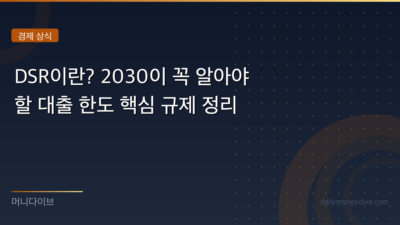 DSR이란