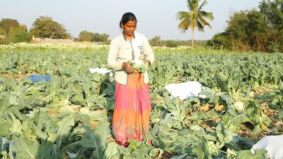 비료 공급망 위기