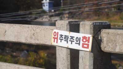 OECD 한국 성장률 하향