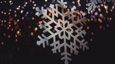 스노우플레이크 주가 전망