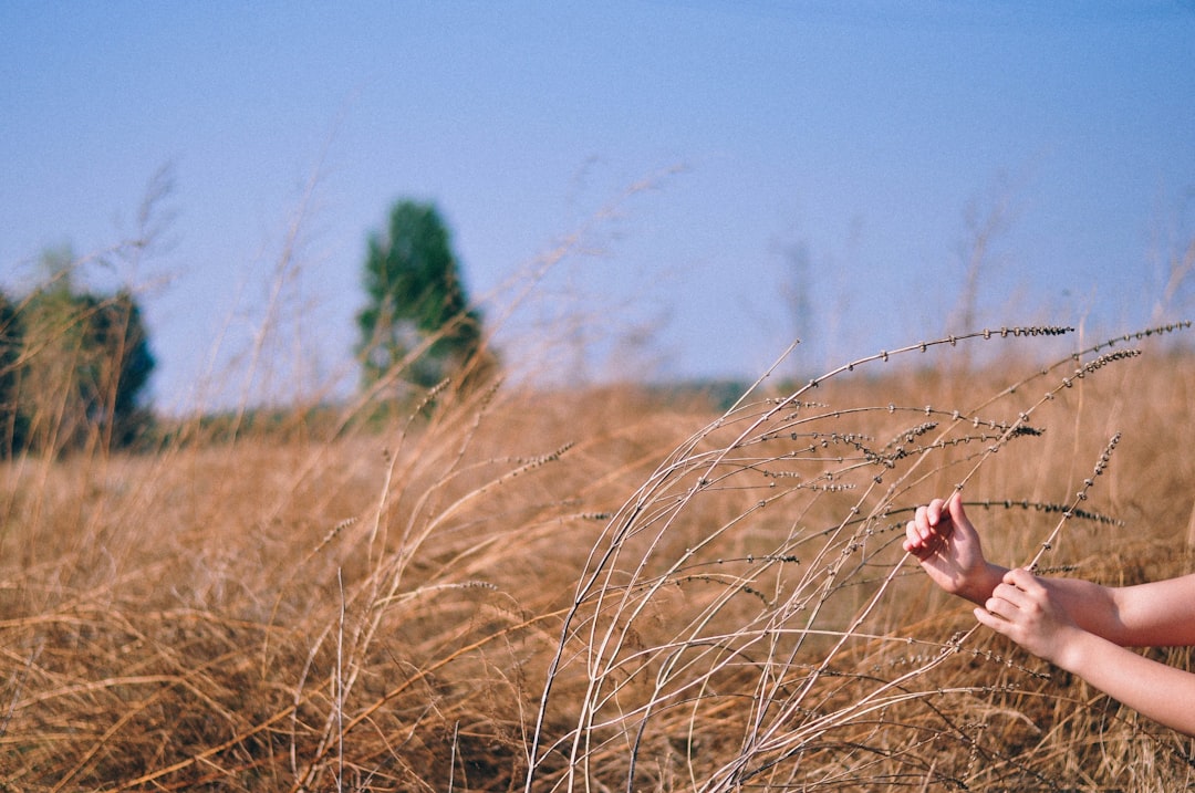 애그플레이션 식량 인플레이션