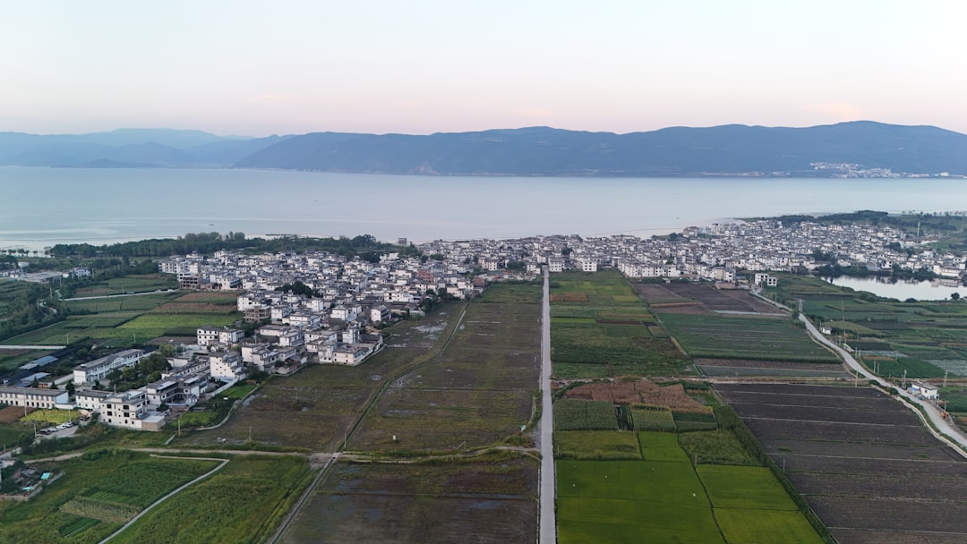 국채 금리