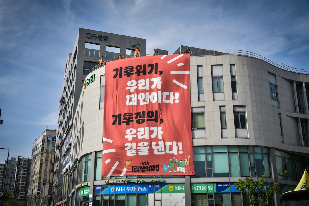 코스피 8000 조정