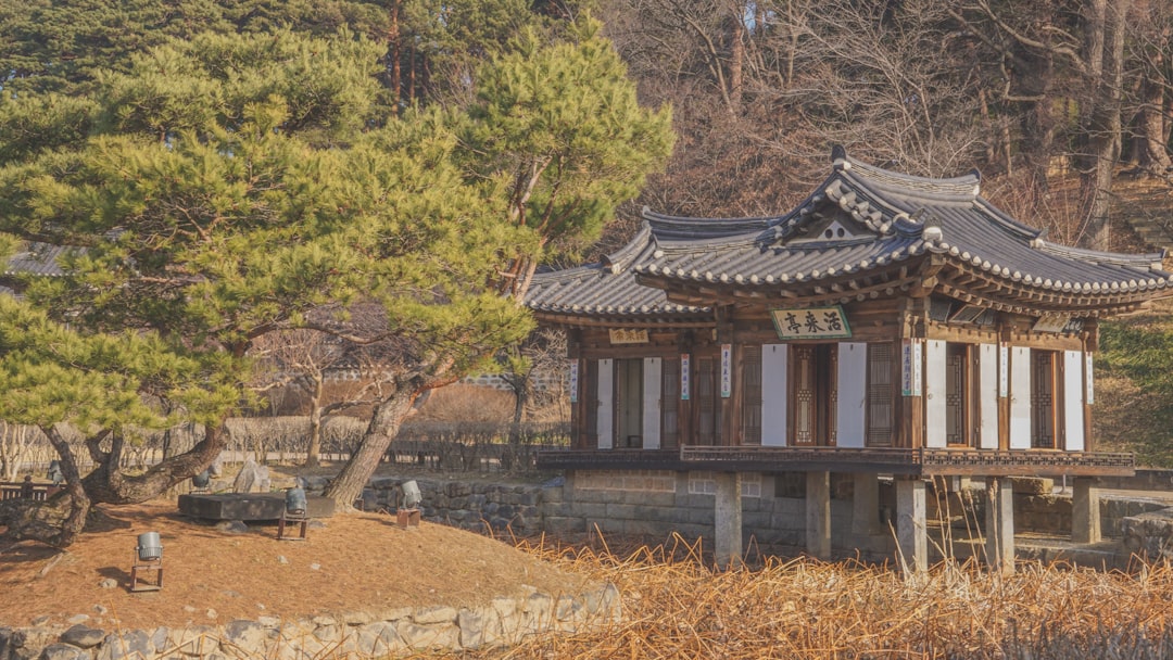 신용카드 소득공제
